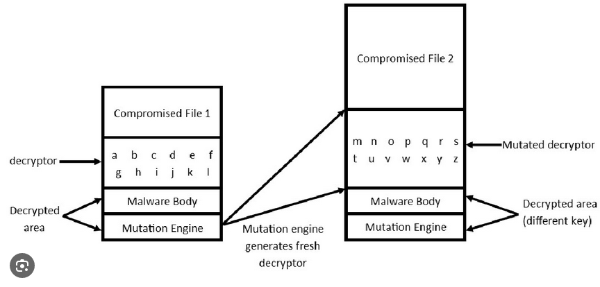 mutation-llvm-glaucoma